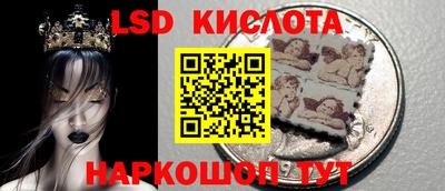 гашик Донской