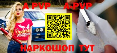 гашик Донской