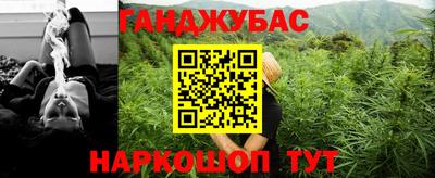 гашик Донской