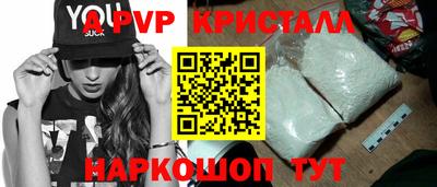 гашик Донской
