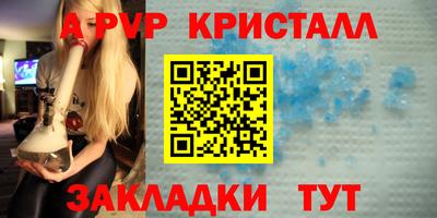 гашик Донской